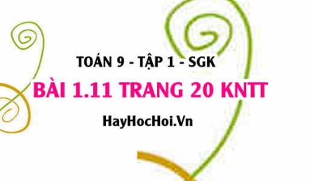 Bài 1.11 trang 20 Toán 9 tập 1 Kết nối tri thức SGK